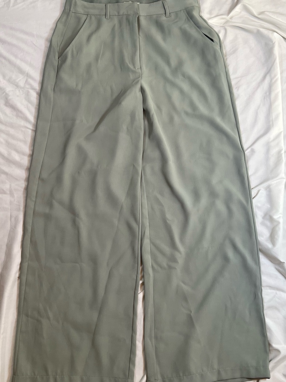 Max Studio Wide Leg Dress Pants in Sage Green